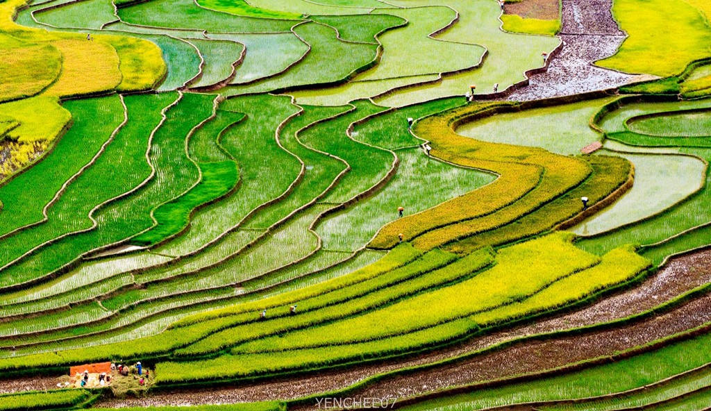 Picture 2 of Summer day on the mountainous region of Mu Cang Chai