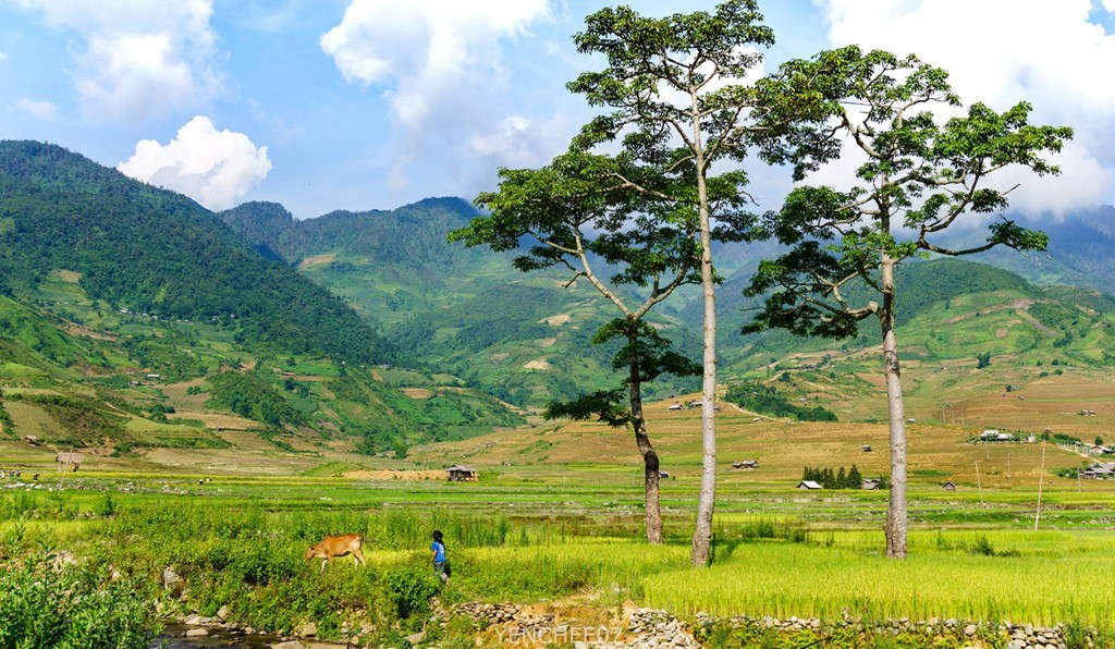 Picture 4 of Summer day on the mountainous region of Mu Cang Chai