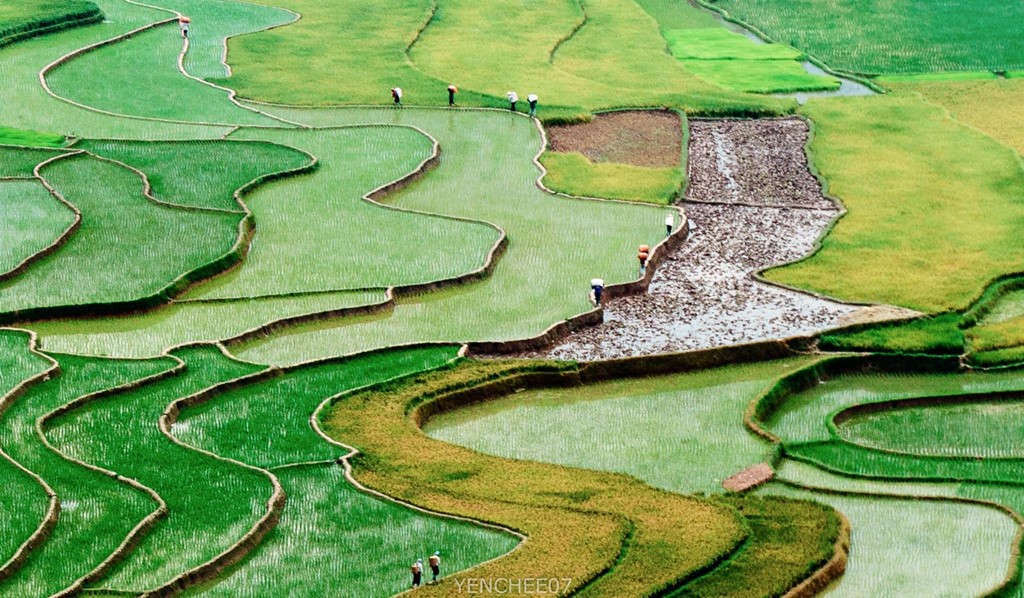 Picture 6 of Summer day on the mountainous region of Mu Cang Chai