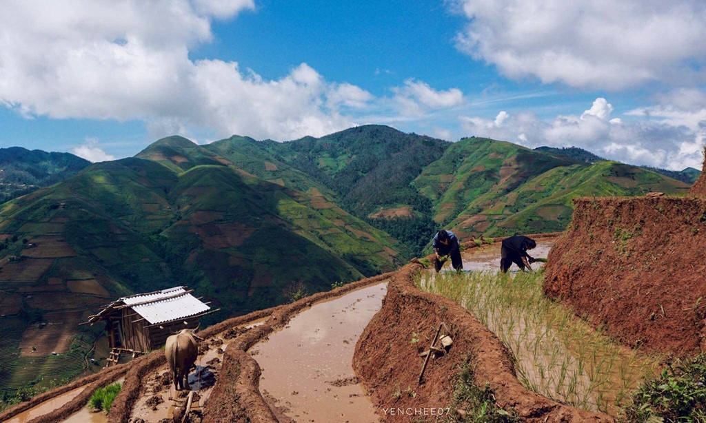 Picture 7 of Summer day on the mountainous region of Mu Cang Chai