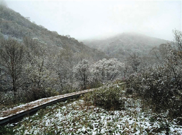Picture 7 of Summer snow falls in China