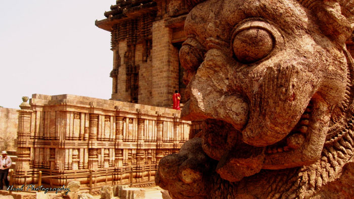 Picture 5 of Sun Temple Konark, Orissa - India