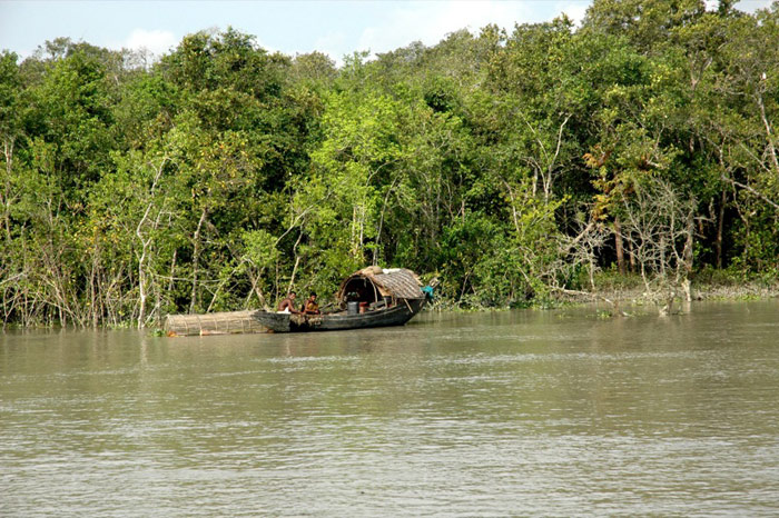 Picture 1 of Sundarbans Reserve