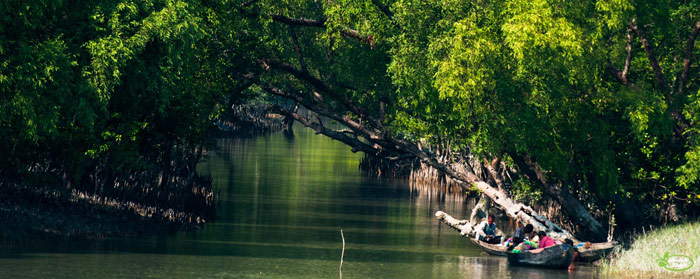 Picture 2 of Sundarbans Reserve