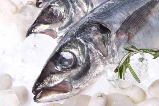 Picture 1 of Sunlight affects the content of mercury in fish