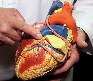 Picture 1 of 'Super medicine' for heart disease and stroke