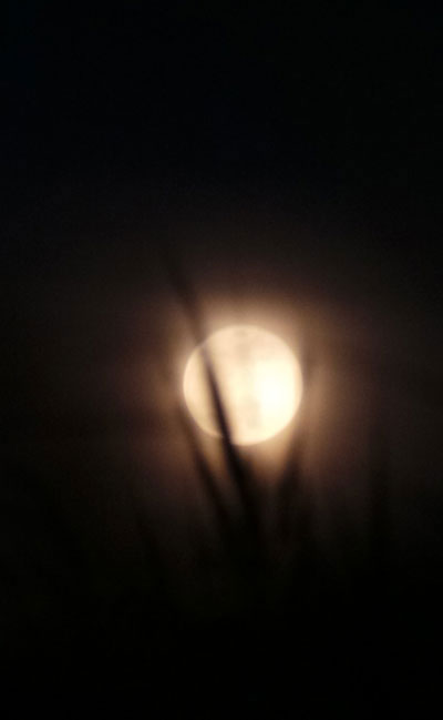Picture 6 of Super moon in Saigon