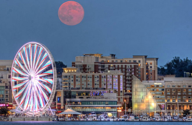 Picture 10 of Super moon shines all over the world