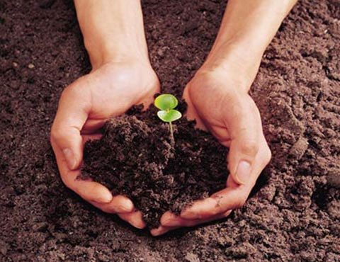 Picture 3 of Super technology against environmental pollution
