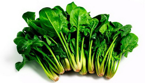 Picture 4 of Superfoods help prolong life