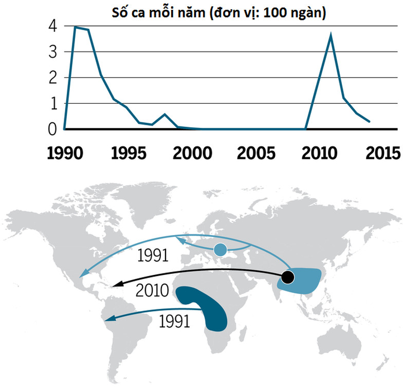Picture 2 of Super-strong cholera bacteria are all from Asia
