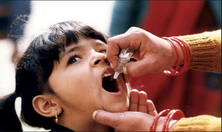 Picture 3 of Super-strong cholera bacteria are all from Asia