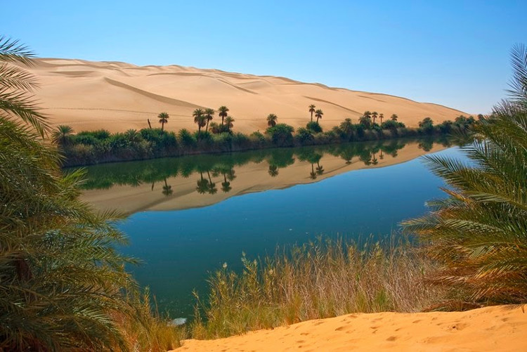 Picture 4 of Surprise with oases filled with trees and shade between the Sahara desert