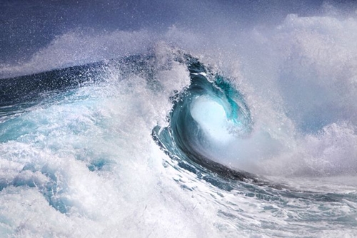 Picture 7 of Surprise with the golden ratio in nature