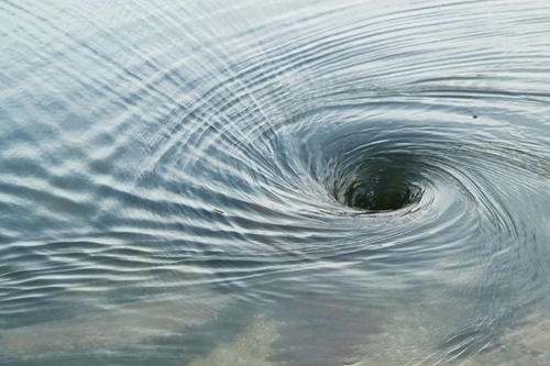 Picture 9 of Surprise with the golden ratio in nature