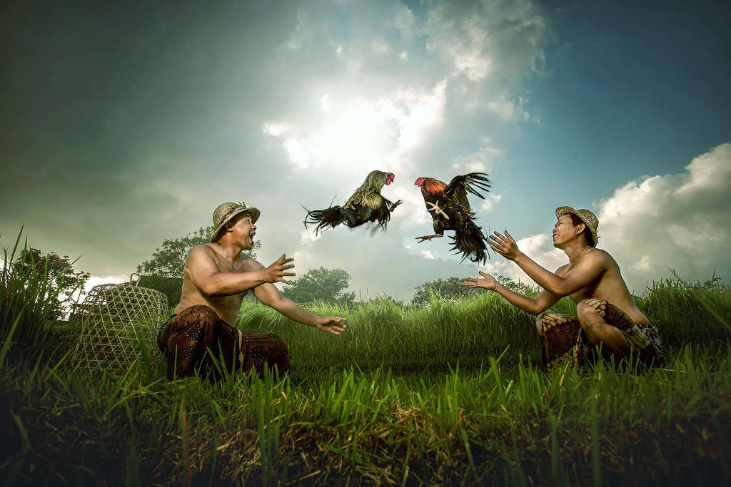 Picture 1 of Surprised with the beautiful set of Malaysian country images in Vietnam