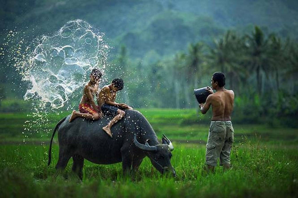 Picture 2 of Surprised with the beautiful set of Malaysian country images in Vietnam