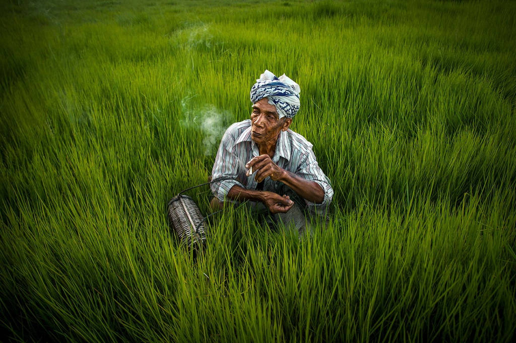 Picture 3 of Surprised with the beautiful set of Malaysian country images in Vietnam