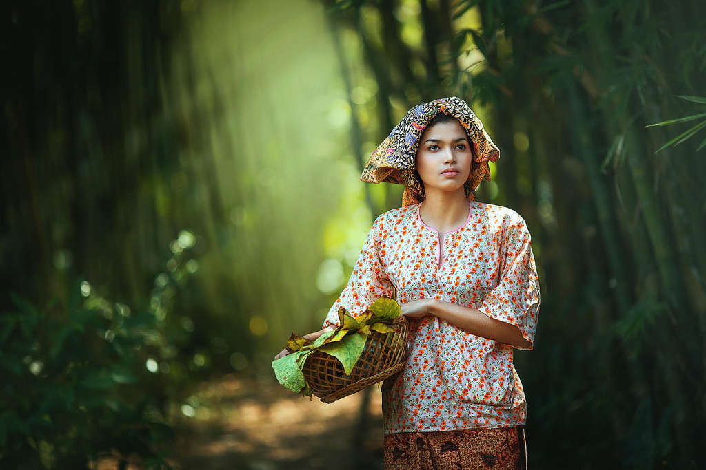 Picture 6 of Surprised with the beautiful set of Malaysian country images in Vietnam