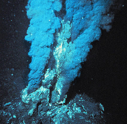Picture 1 of Surprising scientists discovered a new ecosystem at the bottom of the ocean with a depth of 3,800m