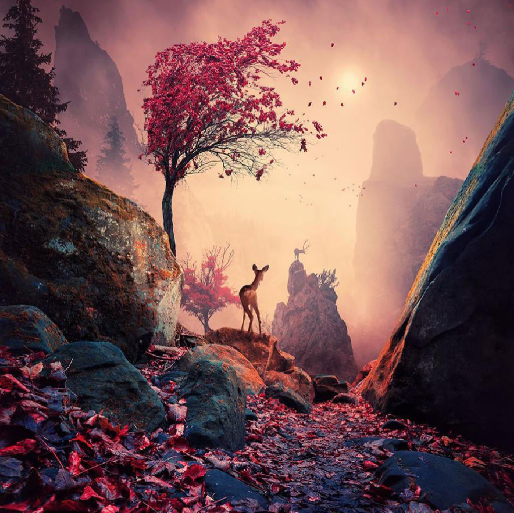 Picture 1 of Surreal photo: The world before I go to sleep