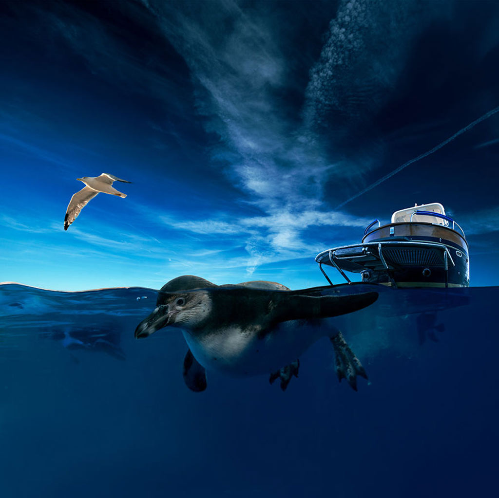 Picture 12 of Surreal photo: The world before I go to sleep
