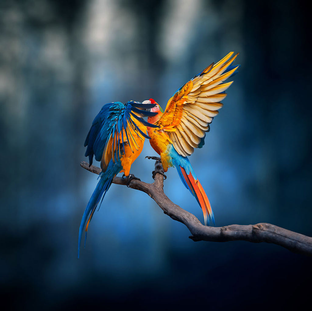 Picture 15 of Surreal photo: The world before I go to sleep