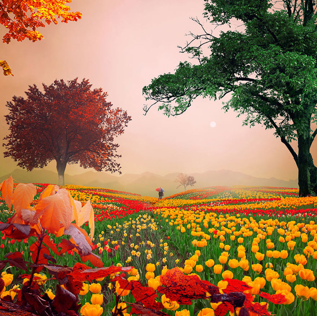 Picture 23 of Surreal photo: The world before I go to sleep