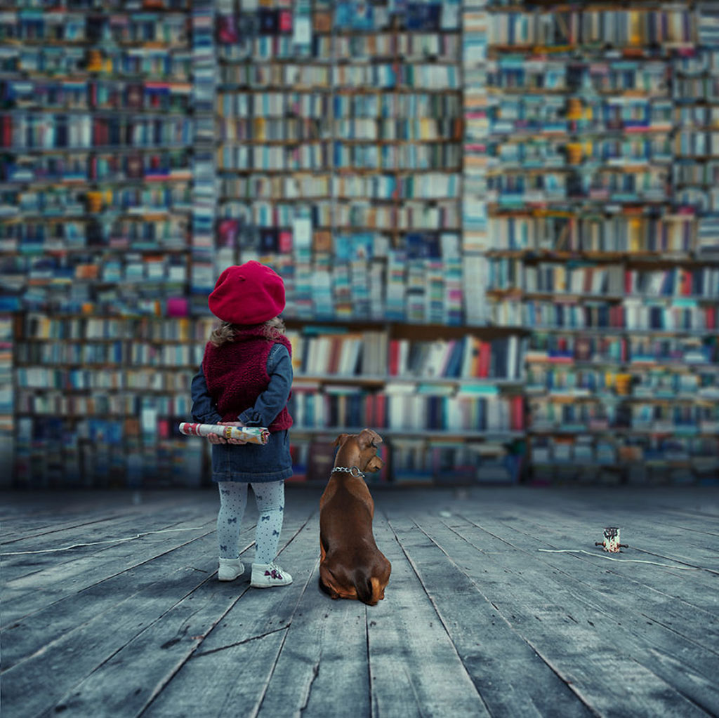 Picture 25 of Surreal photo: The world before I go to sleep