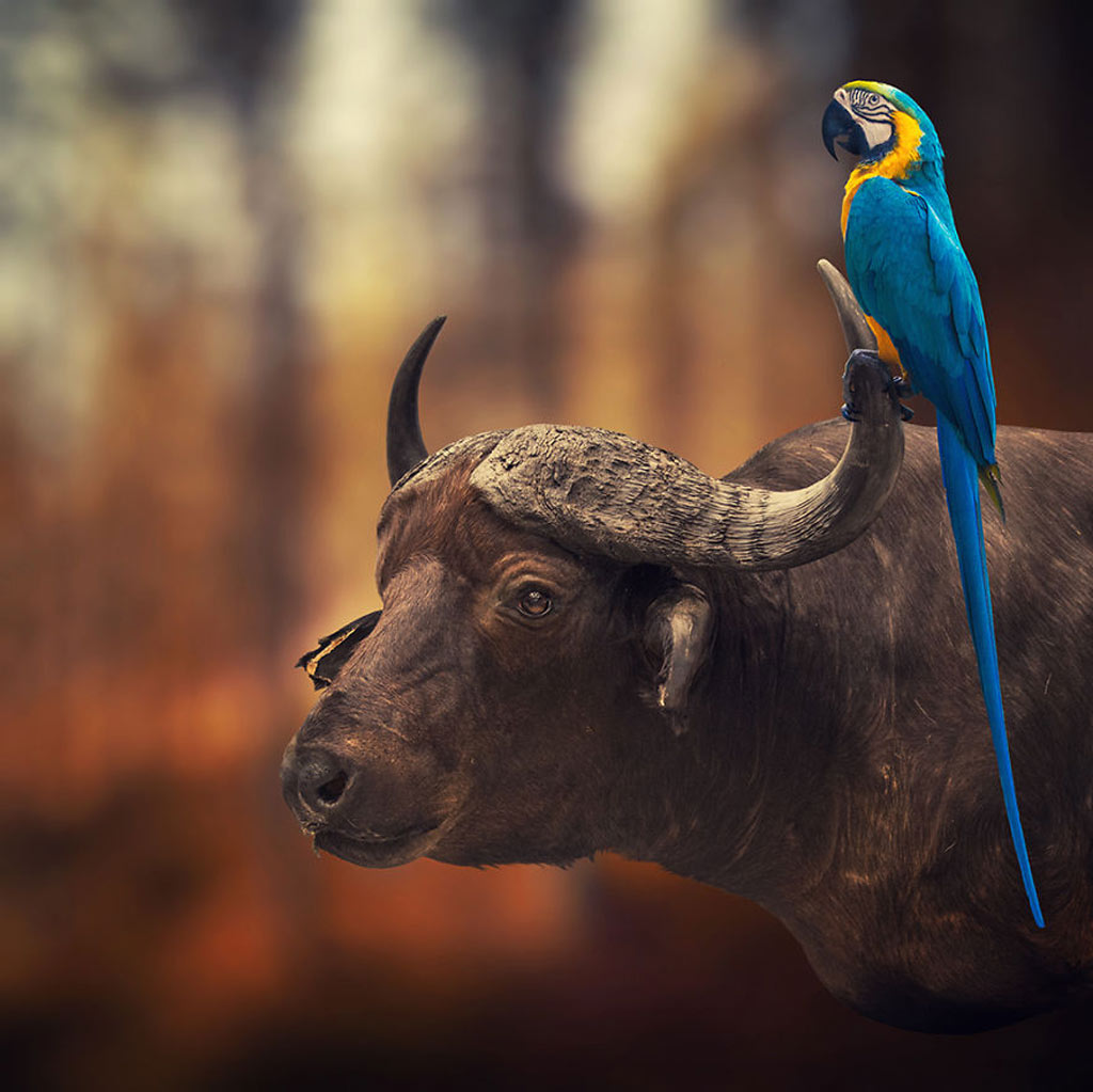 Picture 26 of Surreal photo: The world before I go to sleep