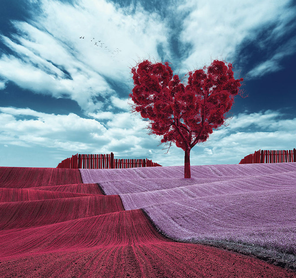 Picture 28 of Surreal photo: The world before I go to sleep
