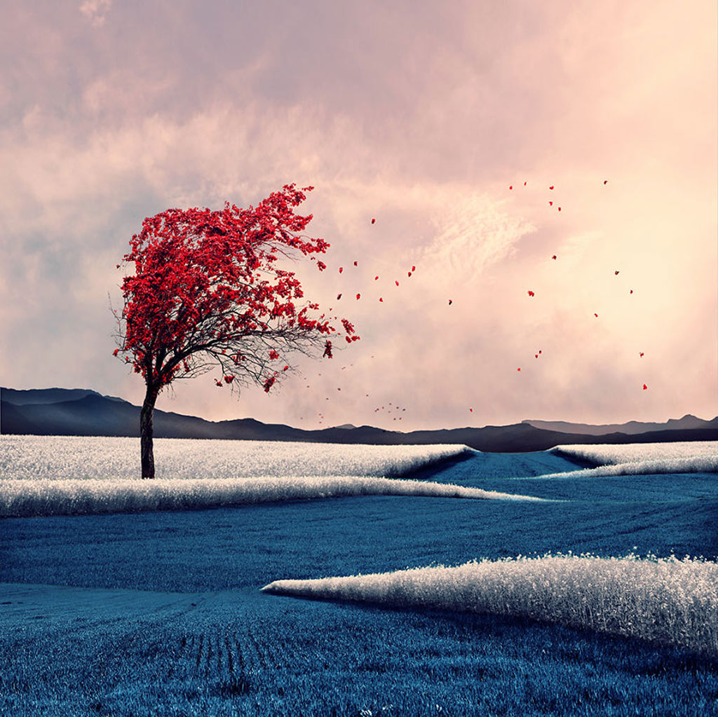 Picture 5 of Surreal photo: The world before I go to sleep
