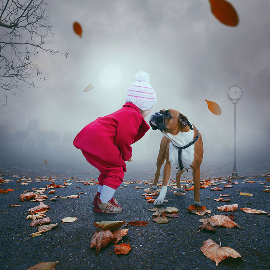 Picture 7 of Surreal photo: The world before I go to sleep