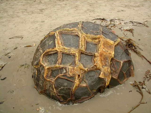 Picture 6 of Surreal scenes such as aliens at the 'dragon egg' rock beach tens of millions of years old