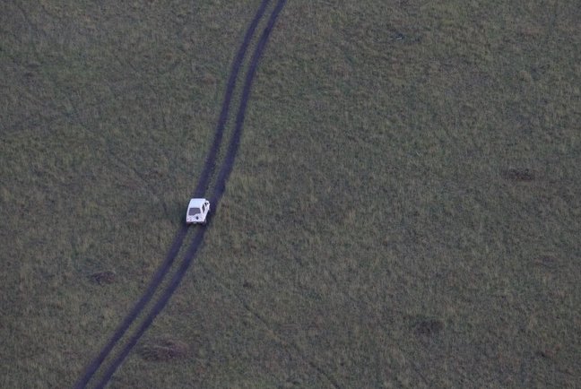 Picture 8 of Survival war on Kenya grassland