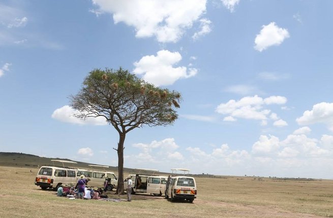 Picture 9 of Survival war on Kenya grassland