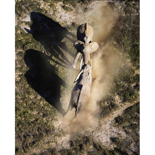 Picture 1 of Survival wars in nature
