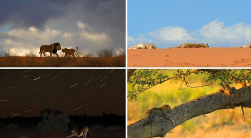 Picture 4 of Survive in the driest desert in the world