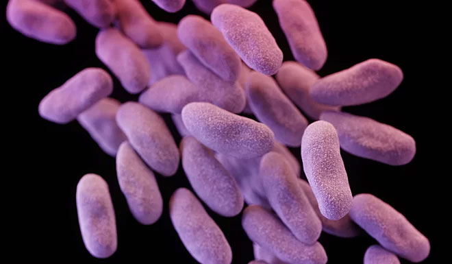 Picture 1 of Swedish scientist warns of an epidemic of bacteria at a Vietnamese hospital