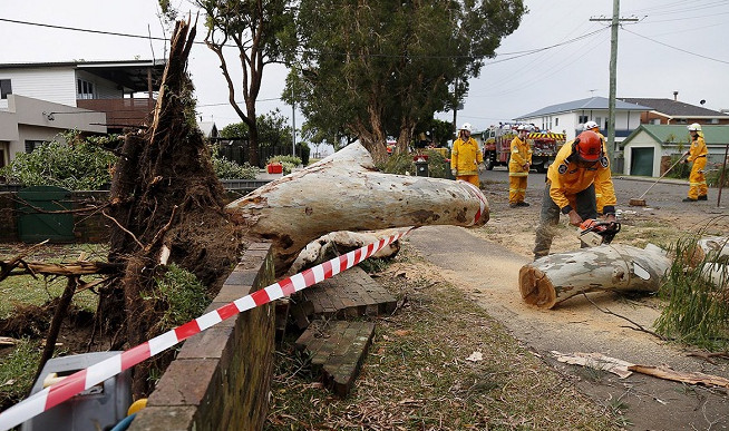Picture 2 of Sydney is devastated after a whirlwind with a big hail of balls