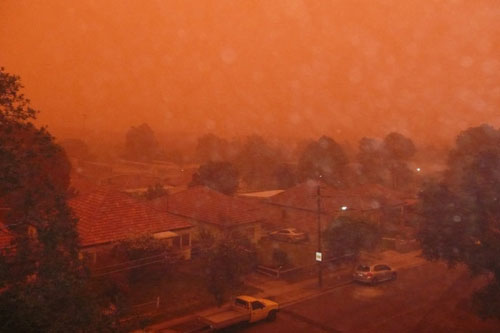 Picture 4 of Sydney is red because of the unusual sandstorm