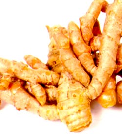 Picture 1 of Synthesis of anticancer agents available in curry