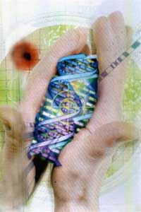 Picture 3 of Synthetic biology: Robbery of creation