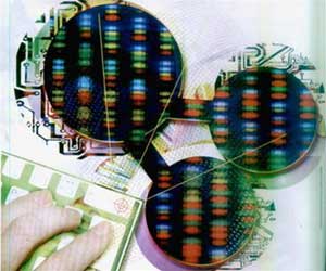 Picture 4 of Synthetic biology: Robbery of creation