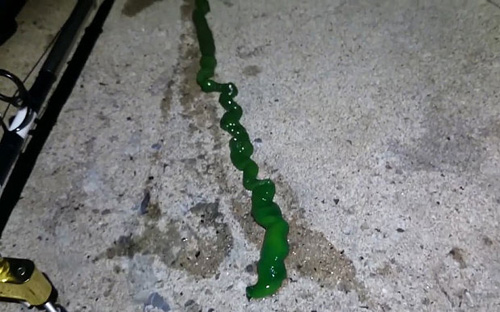 Picture 2 of Taiwan appears strange creatures