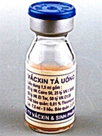 Picture 2 of Take cholera vaccine