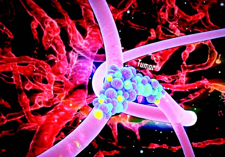 Picture 1 of Targeted cancer treatment drugs of Vietnam
