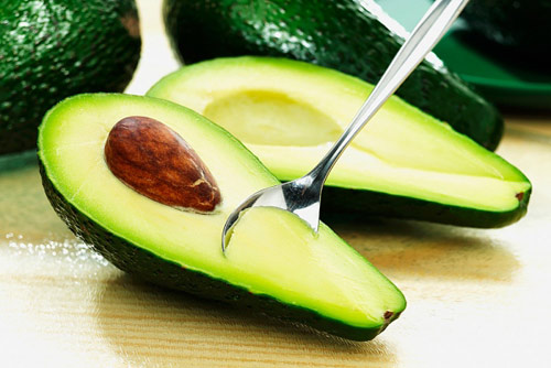 Picture 4 of Techniques for growing avocado trees