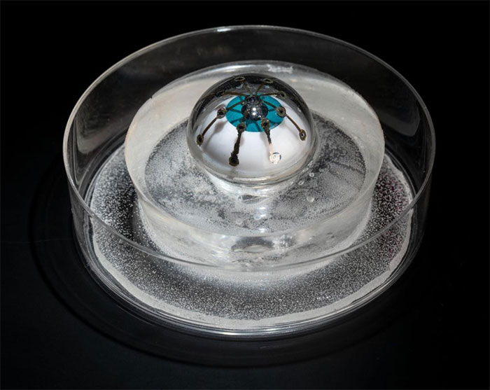 Picture 3 of Technologies that will revolutionize the future of medicine