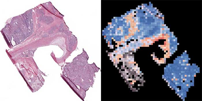 Picture 7 of Technologies that will revolutionize the future of medicine